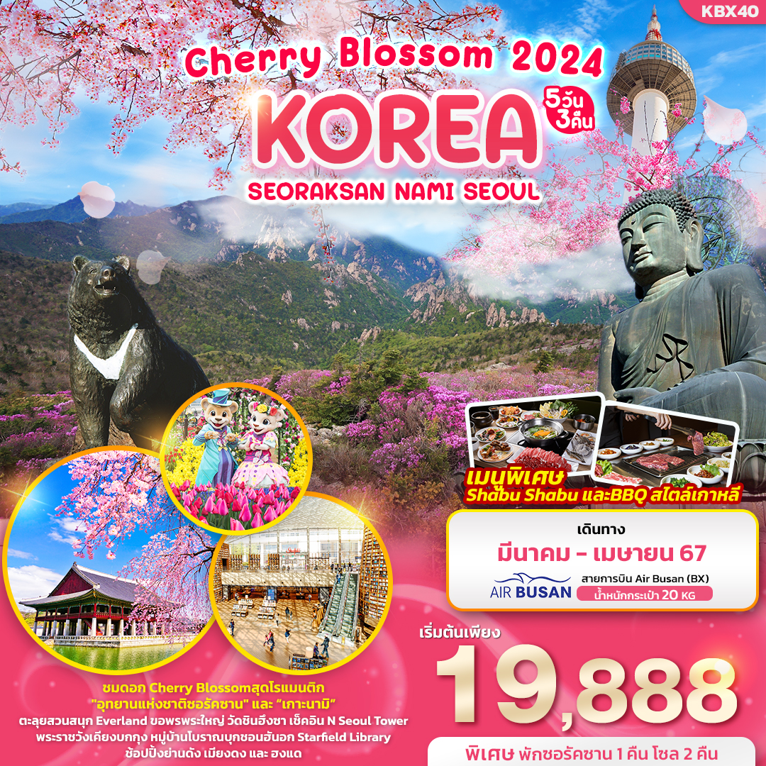 ทัวร์เกาหลีใต้ KOREA Cherry Blossom 2024 SEORAKSAN NAMI SEOUL 5วัน3คืน (BX) มี.ค.-เม.ย..67