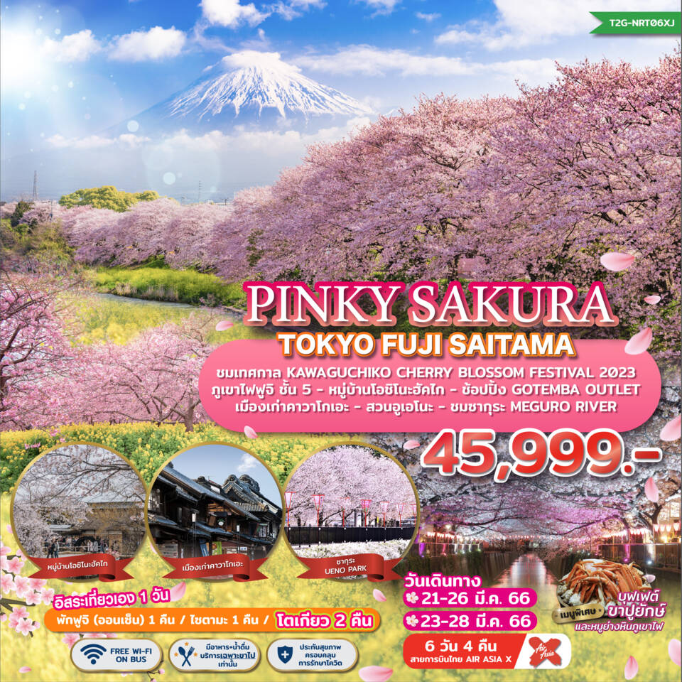 ทัวร์ญี่ปุ่น PINKY SAKURA TOKYO FUJI SAITAMA  6D4N (XJ) มี.ค 66